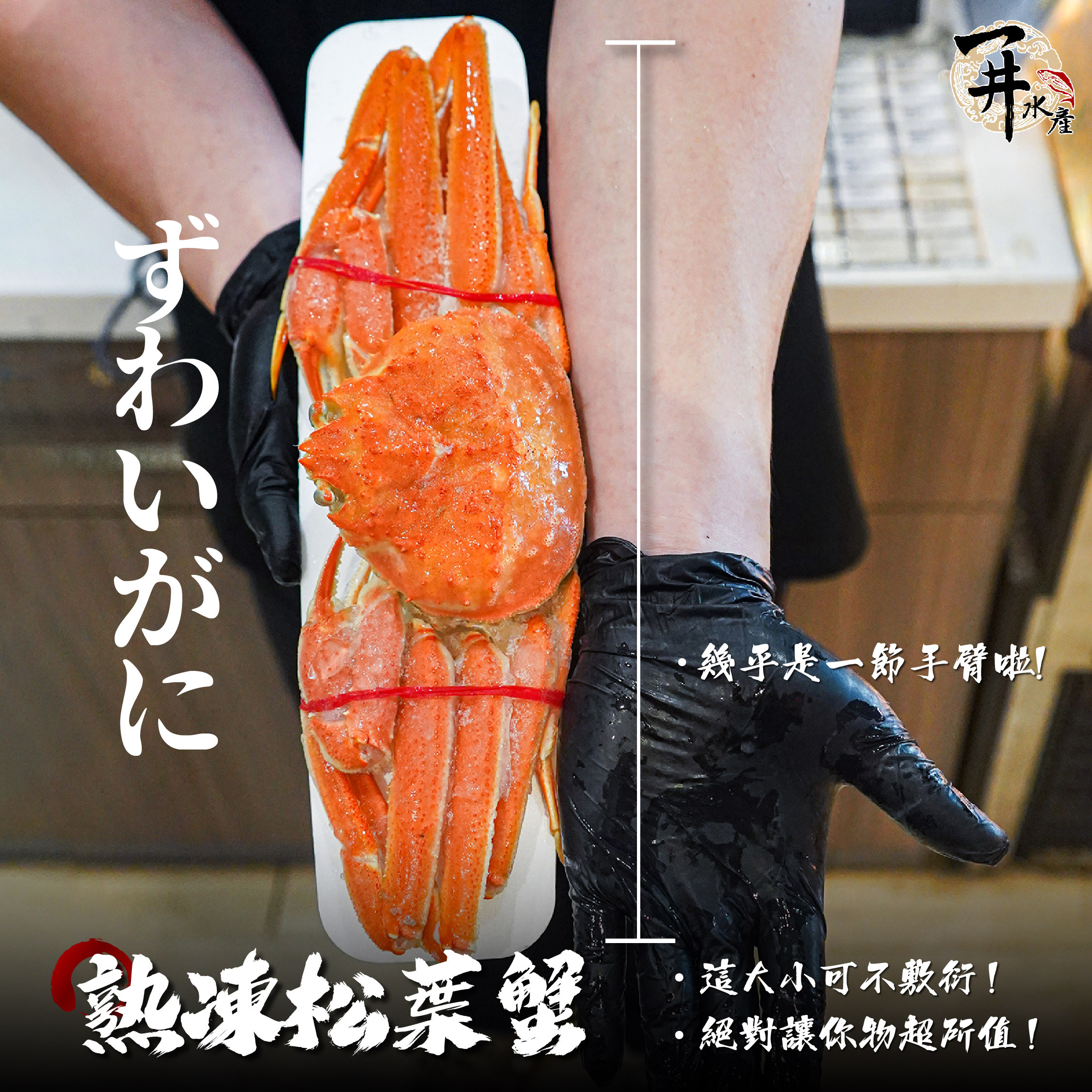 日本熟凍松葉蟹/香箱蟹