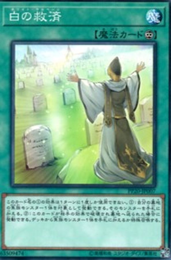 PP20-JP007 白の救済