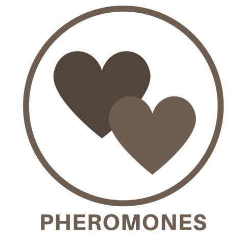 lexy-pheromones-icon