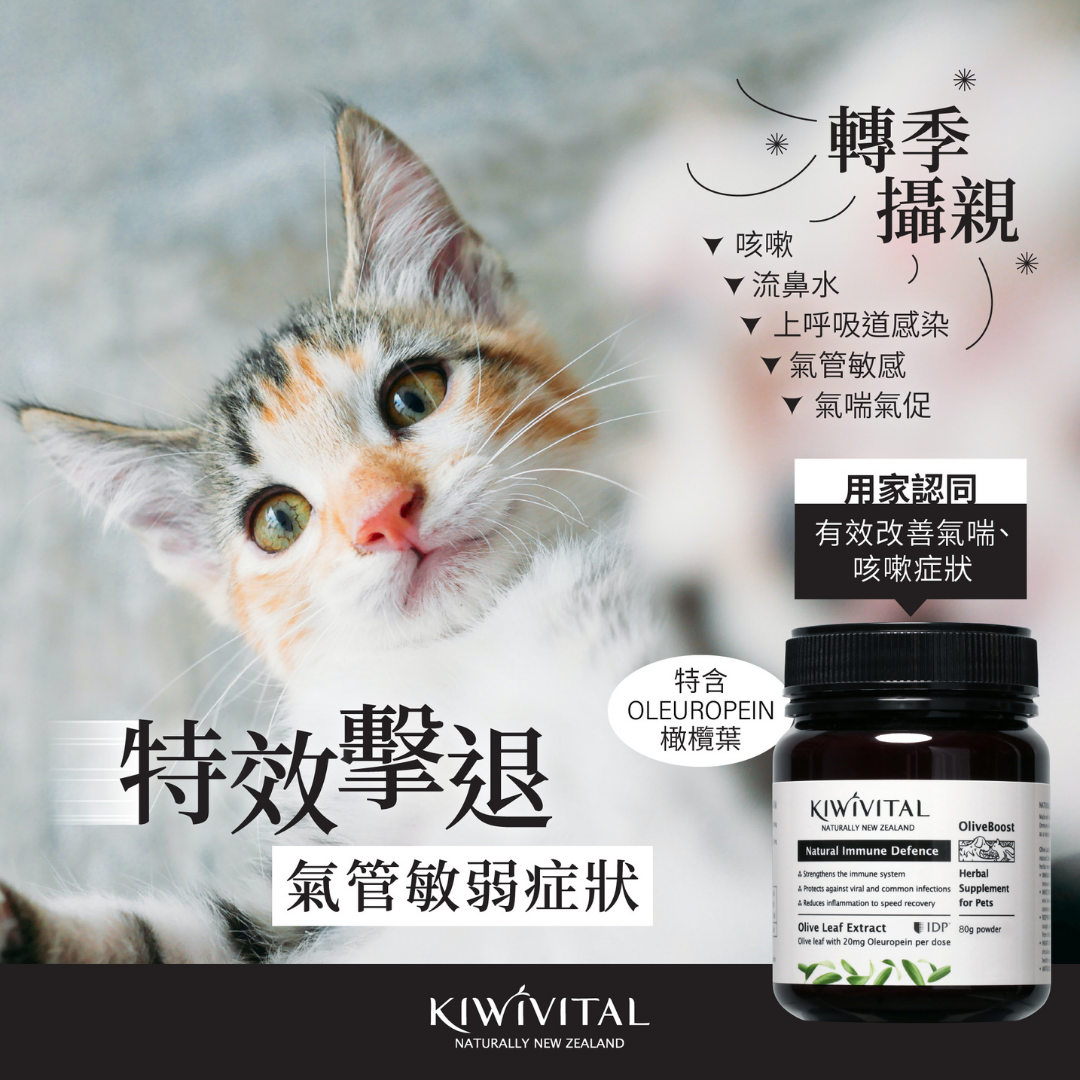 🔥 今期至抵 🔥Kiwivital OliveBoost 寵物專用橄欖葉草療配方80g (粉劑) (抗病毒、呼吸道不適 、護心、抗三高、穩定血糖)
