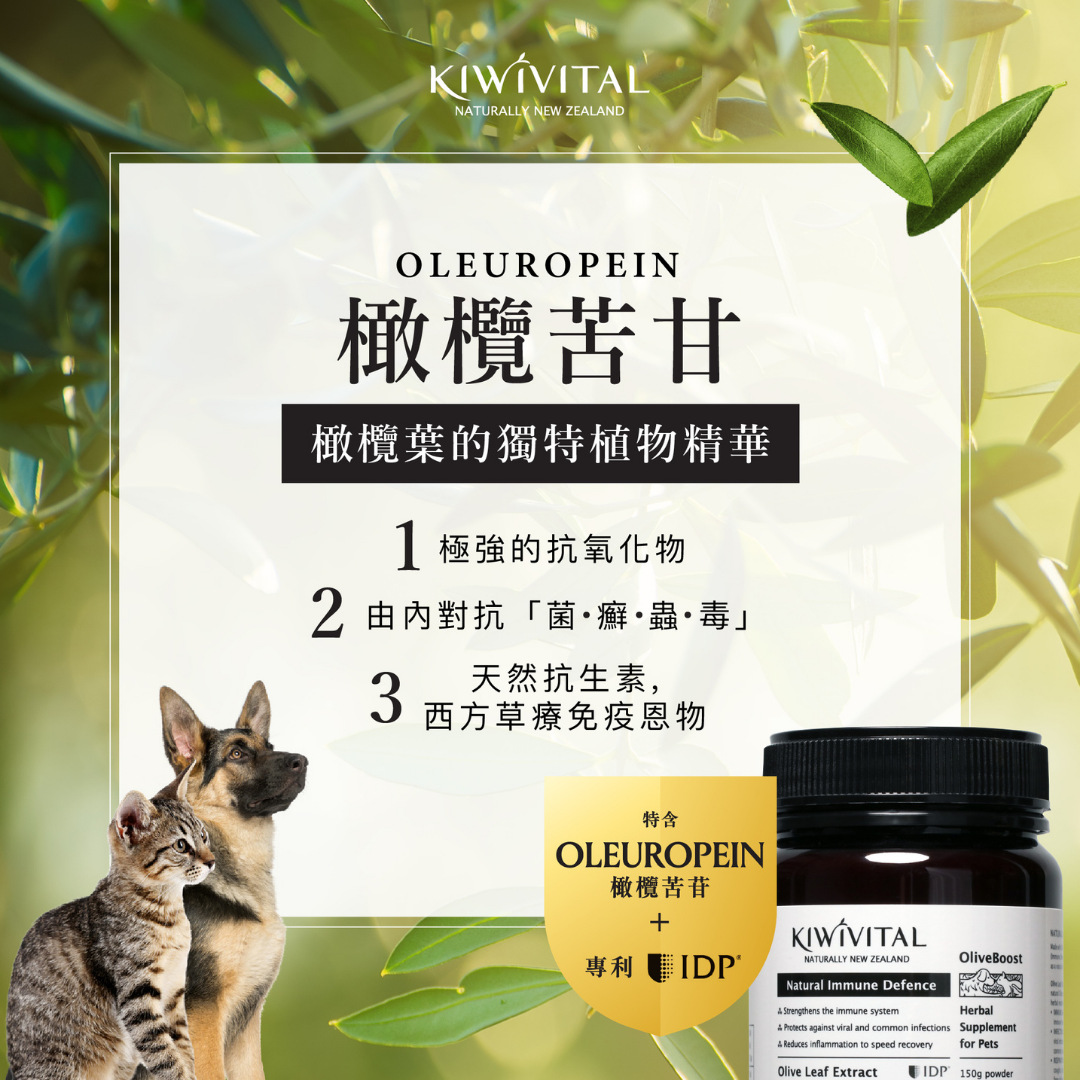 Kiwivital OliveBoost 寵物專用橄欖葉草療補充劑 80g