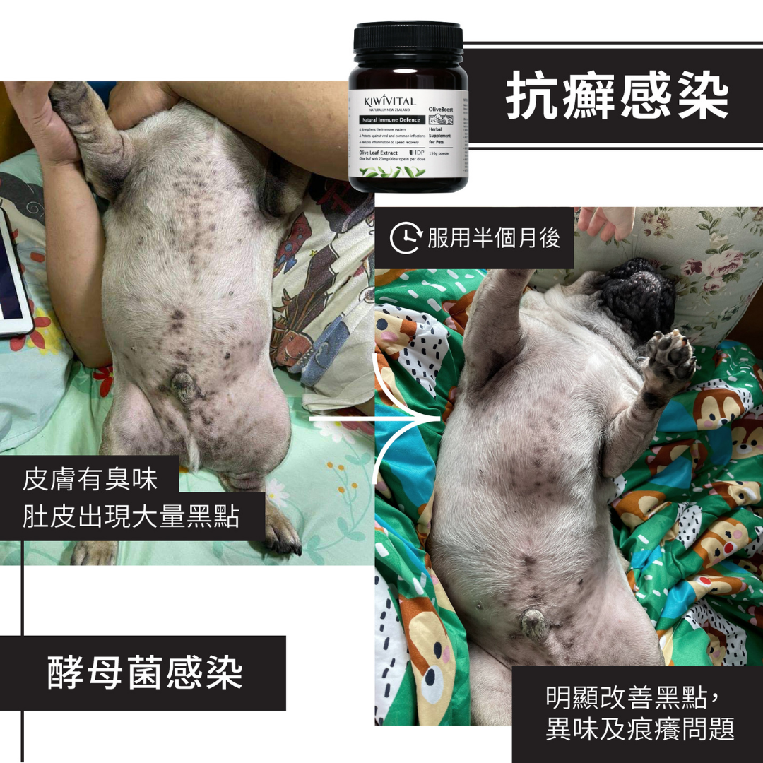 Kiwivital OliveBoost 寵物專用橄欖葉草療補充劑 80g l 貓星人基地 MeowZone