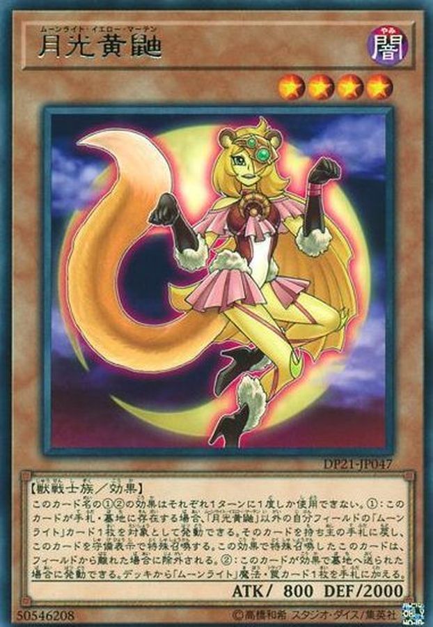 DP21-JP047 月光黄鼬