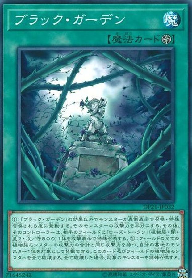 DP21-JP032 ブラックガーデン