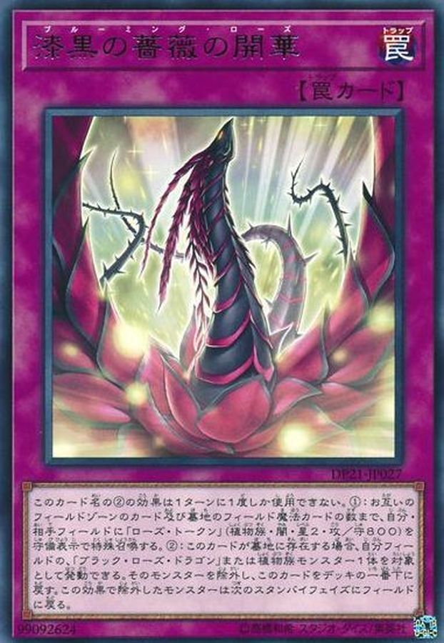 DP21-JP027 漆黒の薔薇の開華