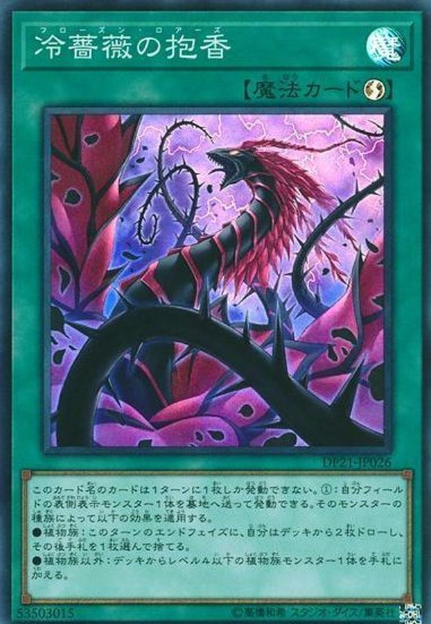 DP21-JP026 冷薔薇の抱香