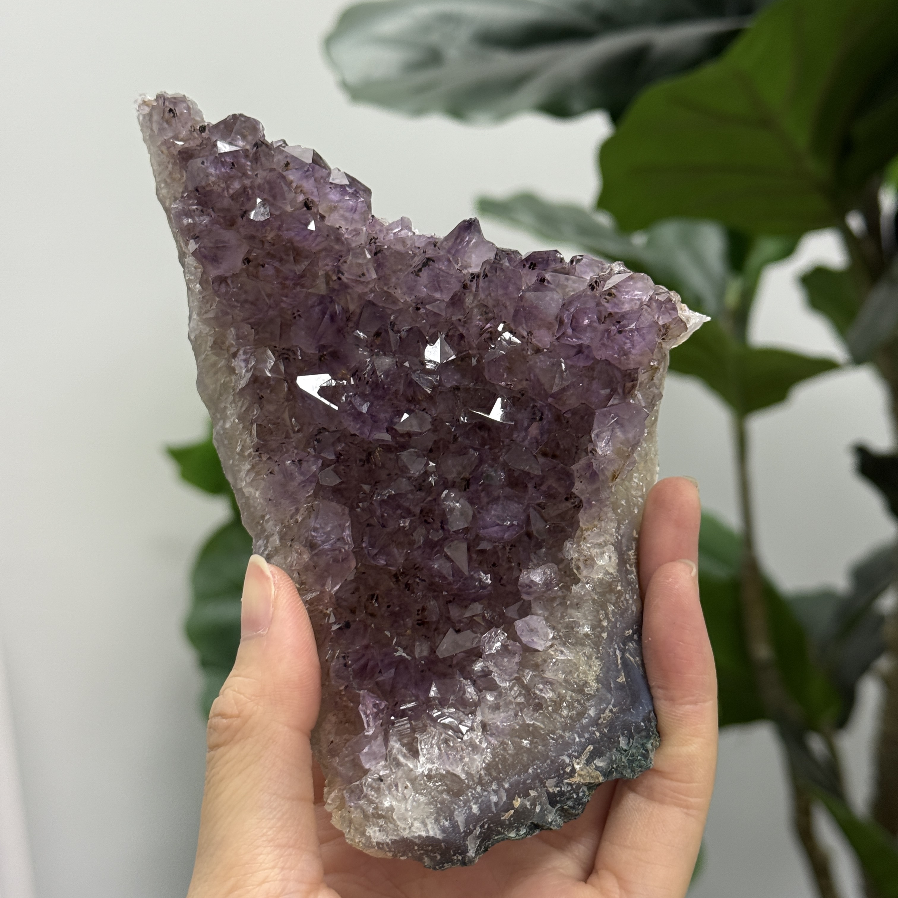 紫晶簇 455G AC2196