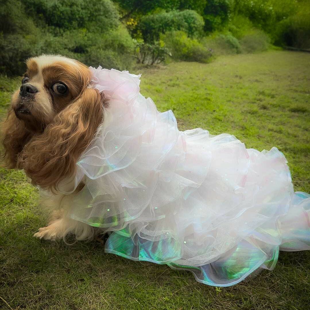 White Tiered Long Bridal Gown (Detachable Sweep)