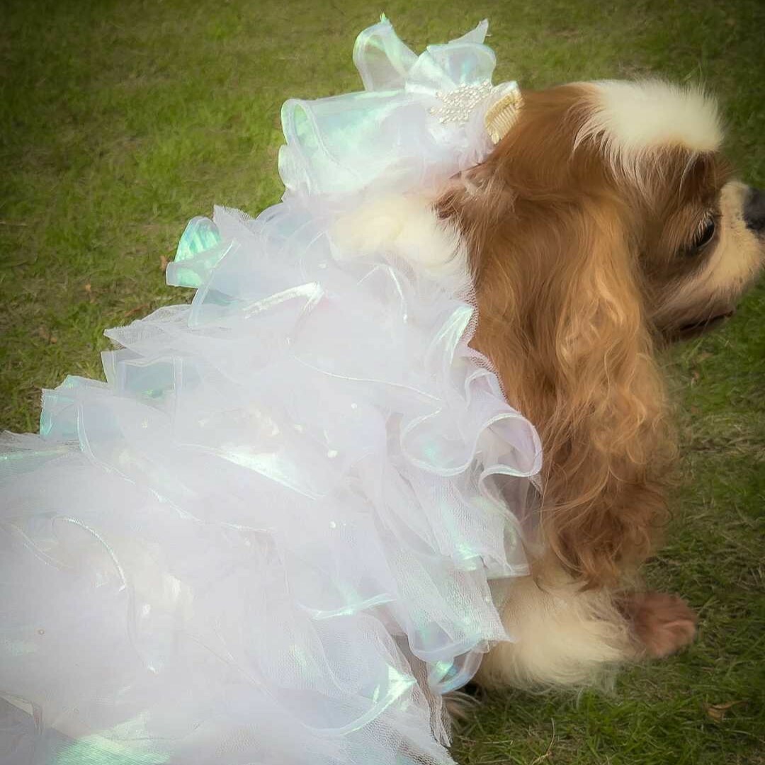 White Tiered Long Bridal Gown (Detachable Sweep)