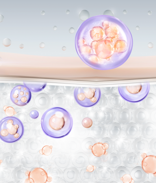 小分子更容易滲入、被肌膚吸收!