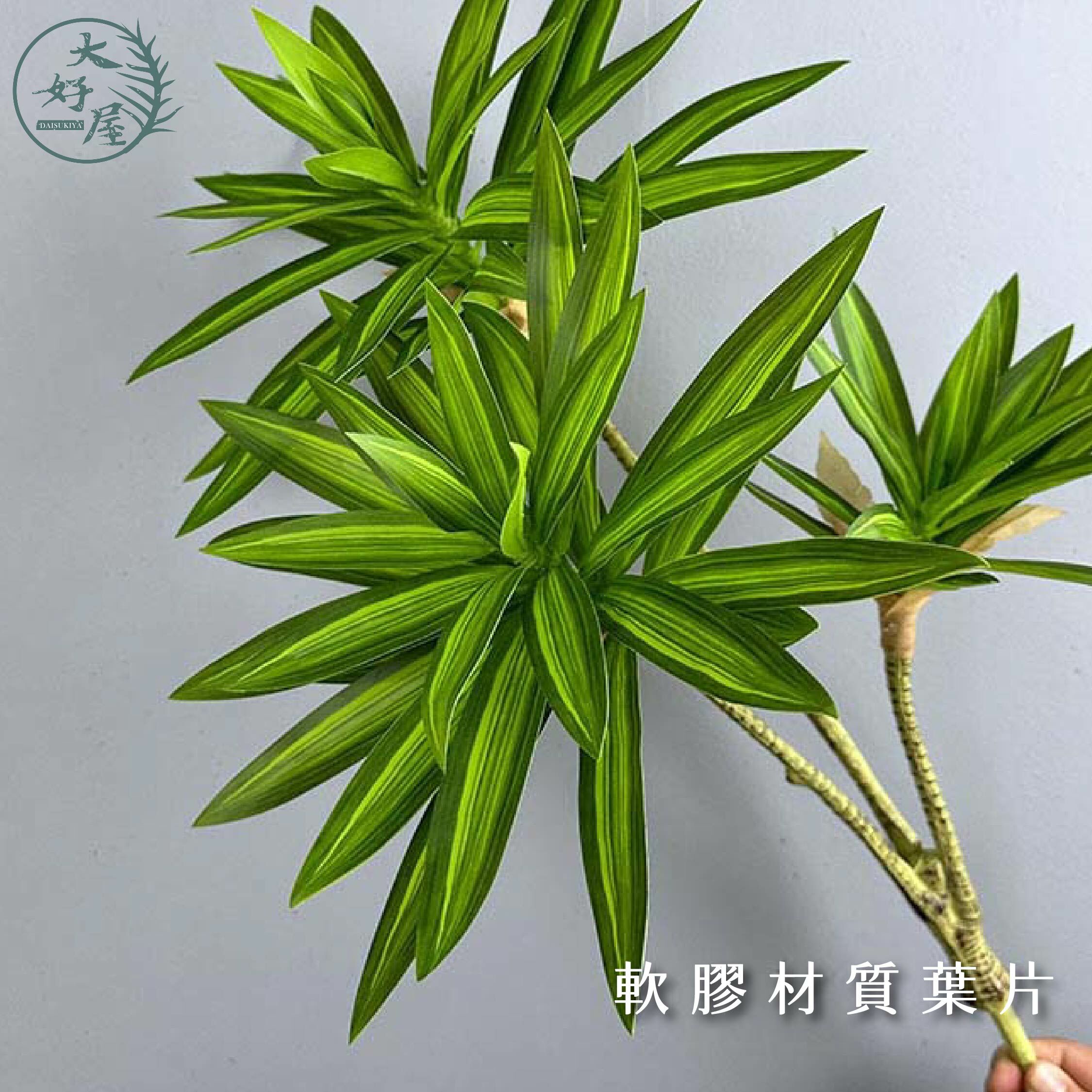 仿真百合竹【單支】