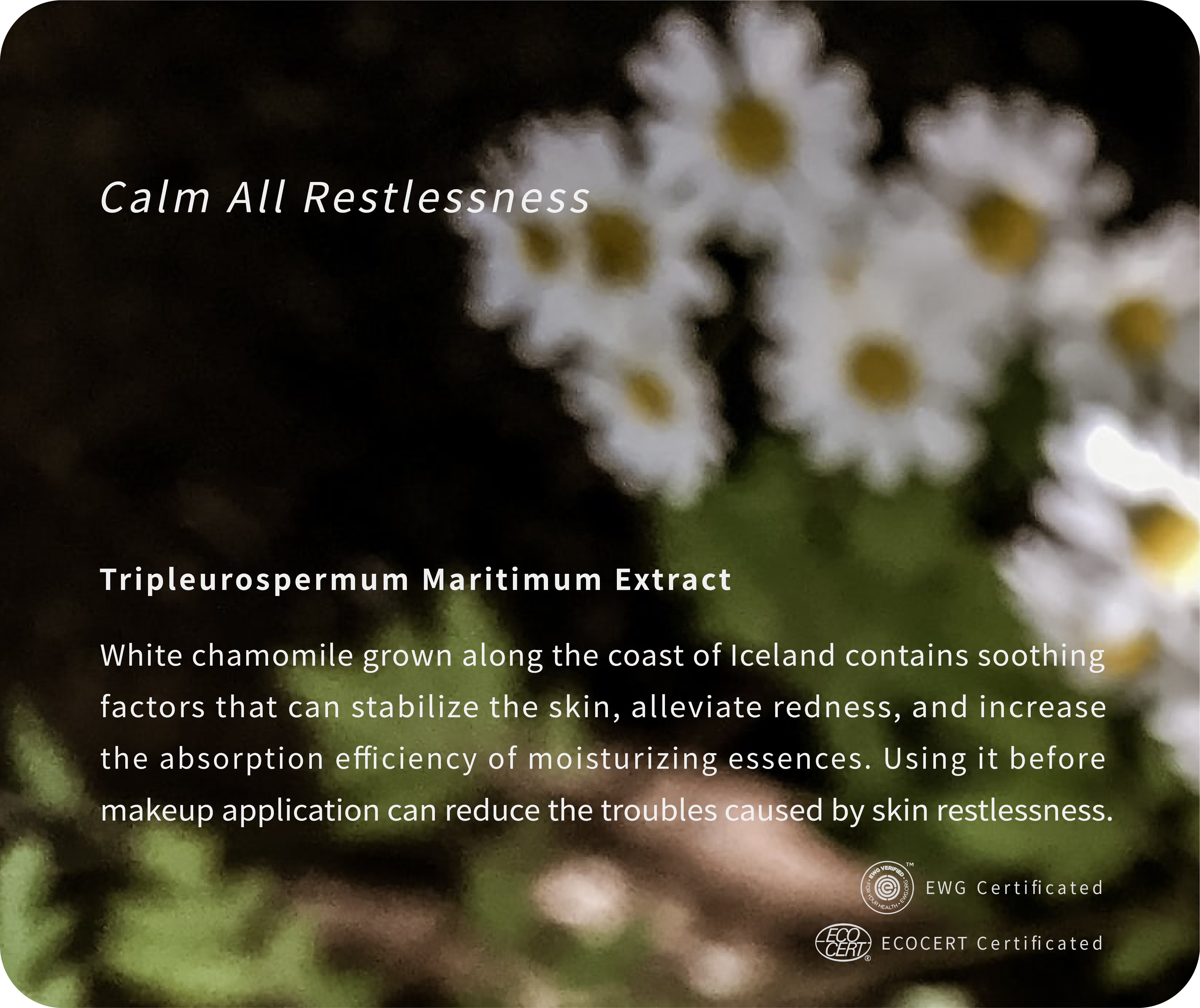 clam all restlessness