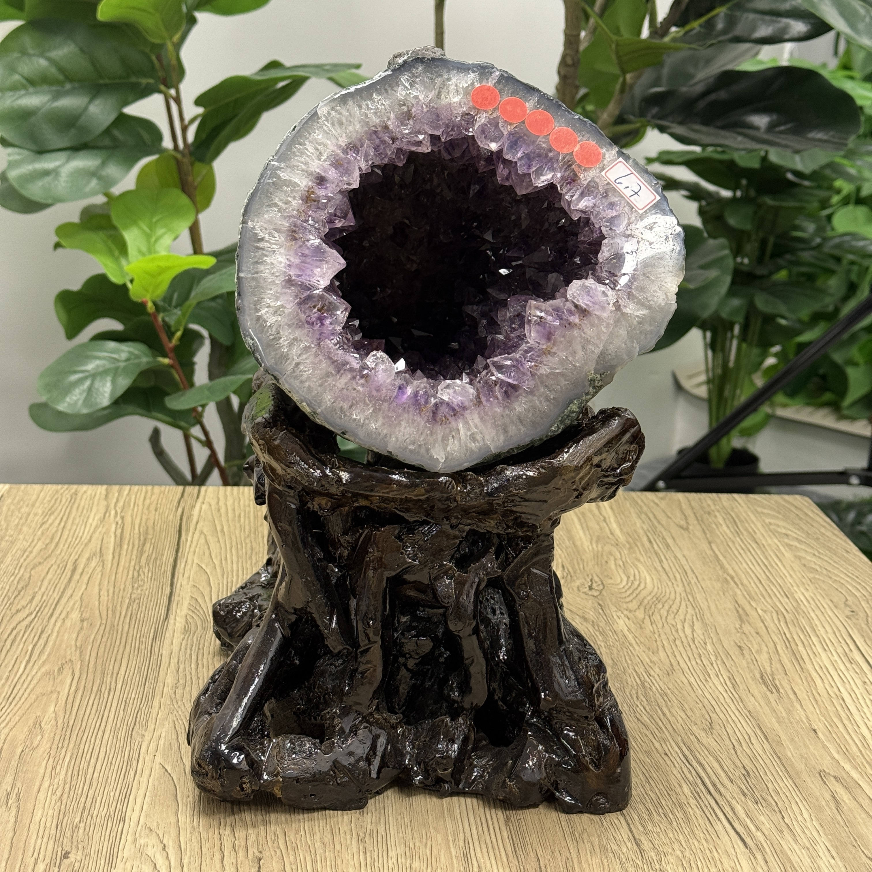 紫晶洞 （鈦晶）洞深22cm AC2187