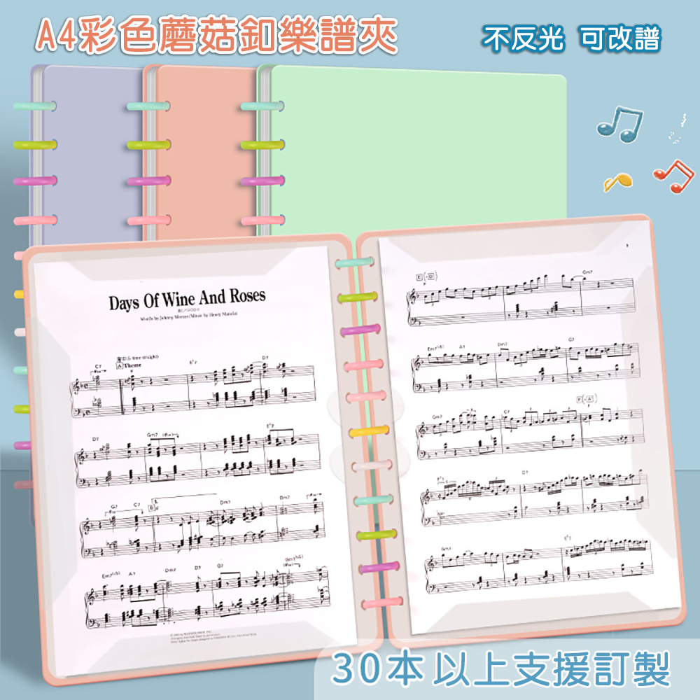1989 A4蘑菇釦 不反光譜夾  20頁40面 30頁60面 樂譜夾 鋼琴樂譜 可手寫 資料夾