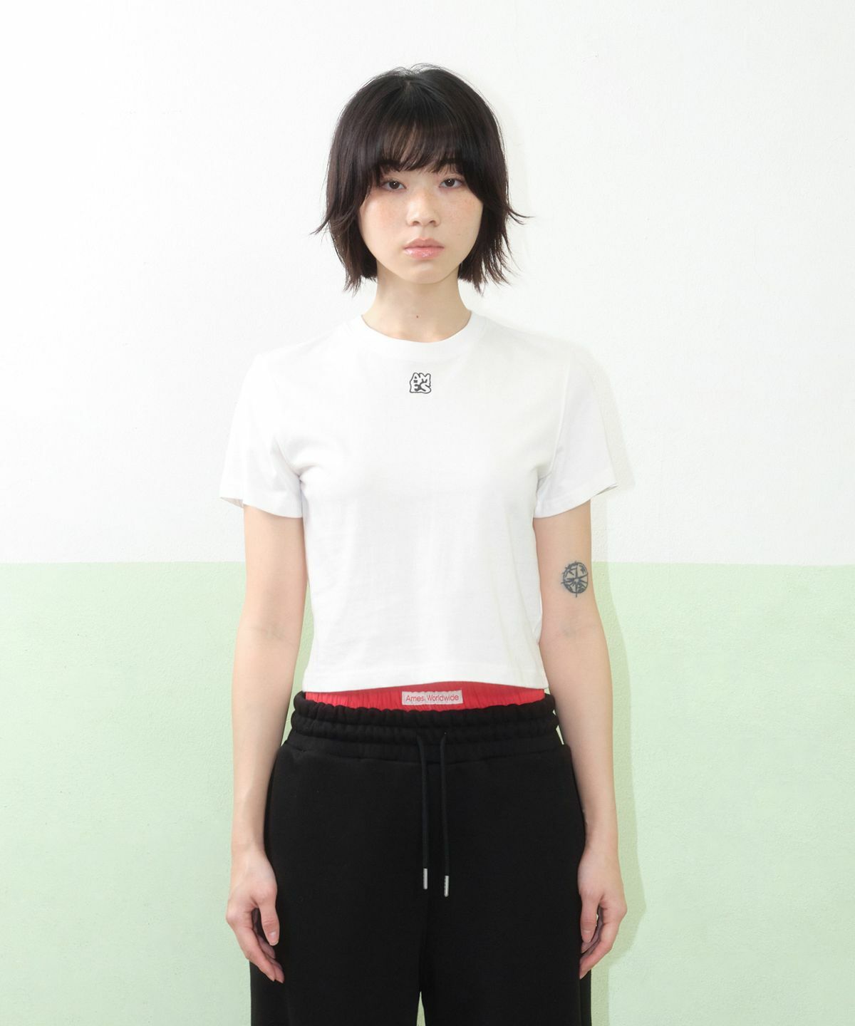 AMES WORLDWIDE BASIC SMALL LOGO CROP TEE