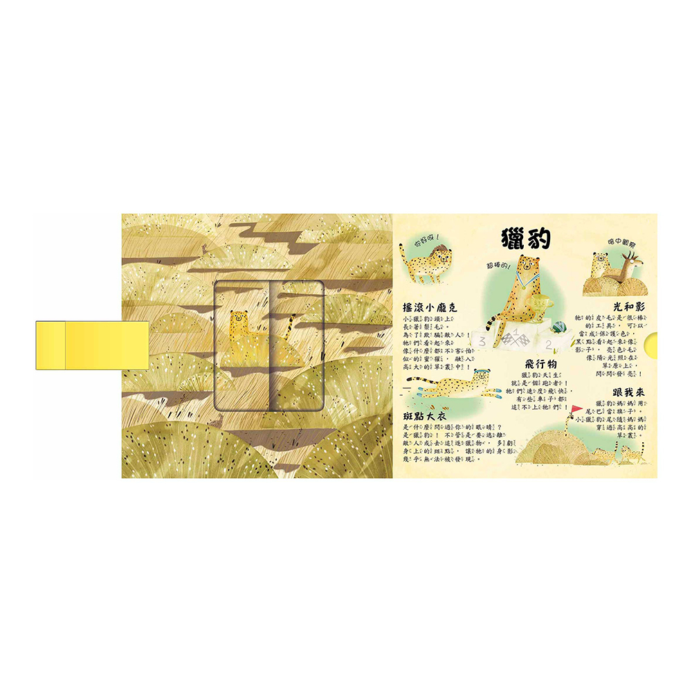 是誰藏在沙漠和海裡?