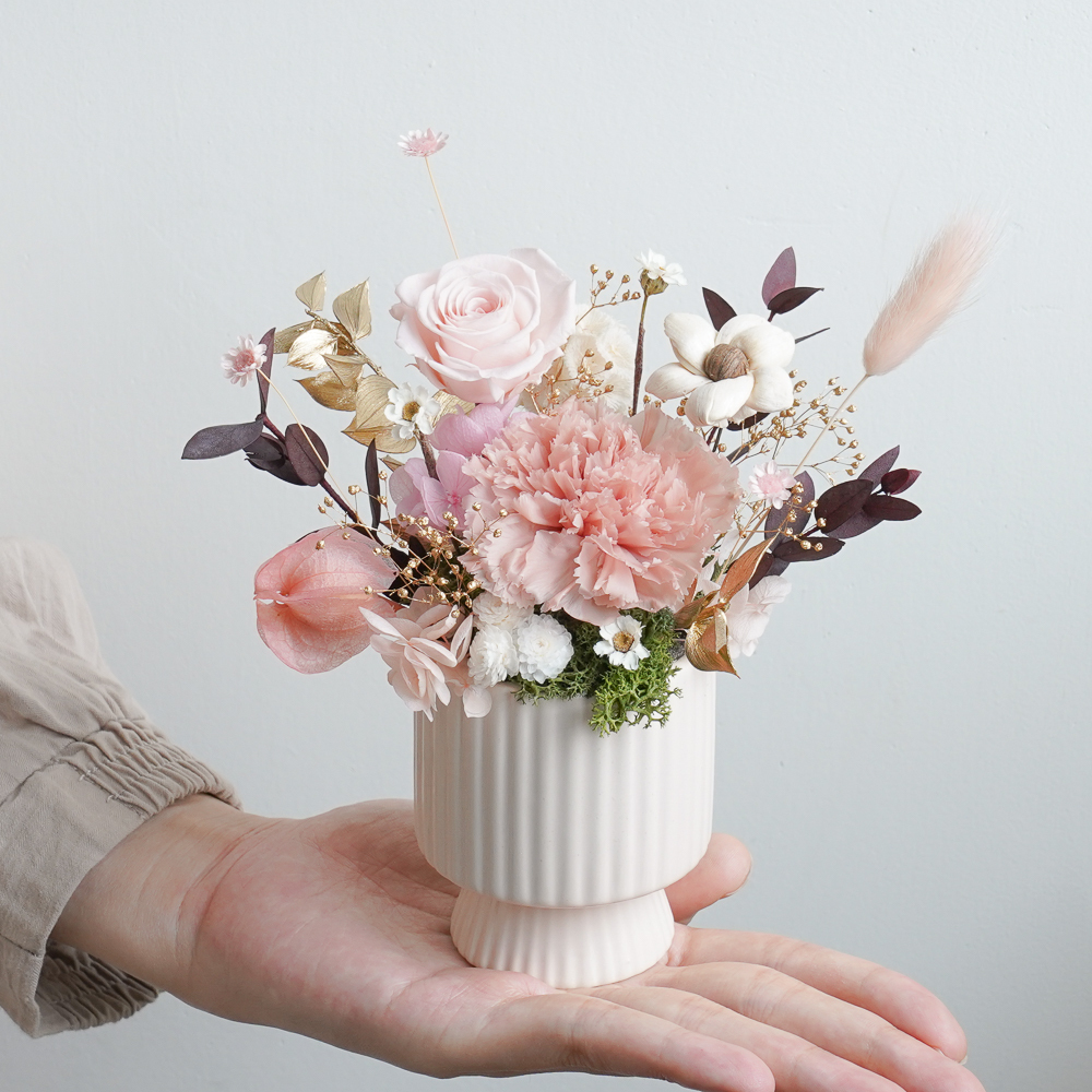 奶茶色康乃馨盆花,永生花母親節康乃馨盆花推薦,母親節康乃馨盆栽盆花推薦,奶茶色康乃馨永生花作品,喜歡生活乾燥花店,康乃馨特寫手拿照片