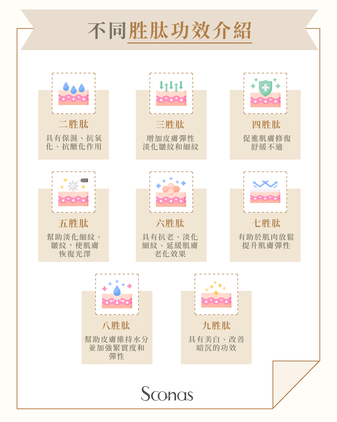 不同胜肽功效介紹