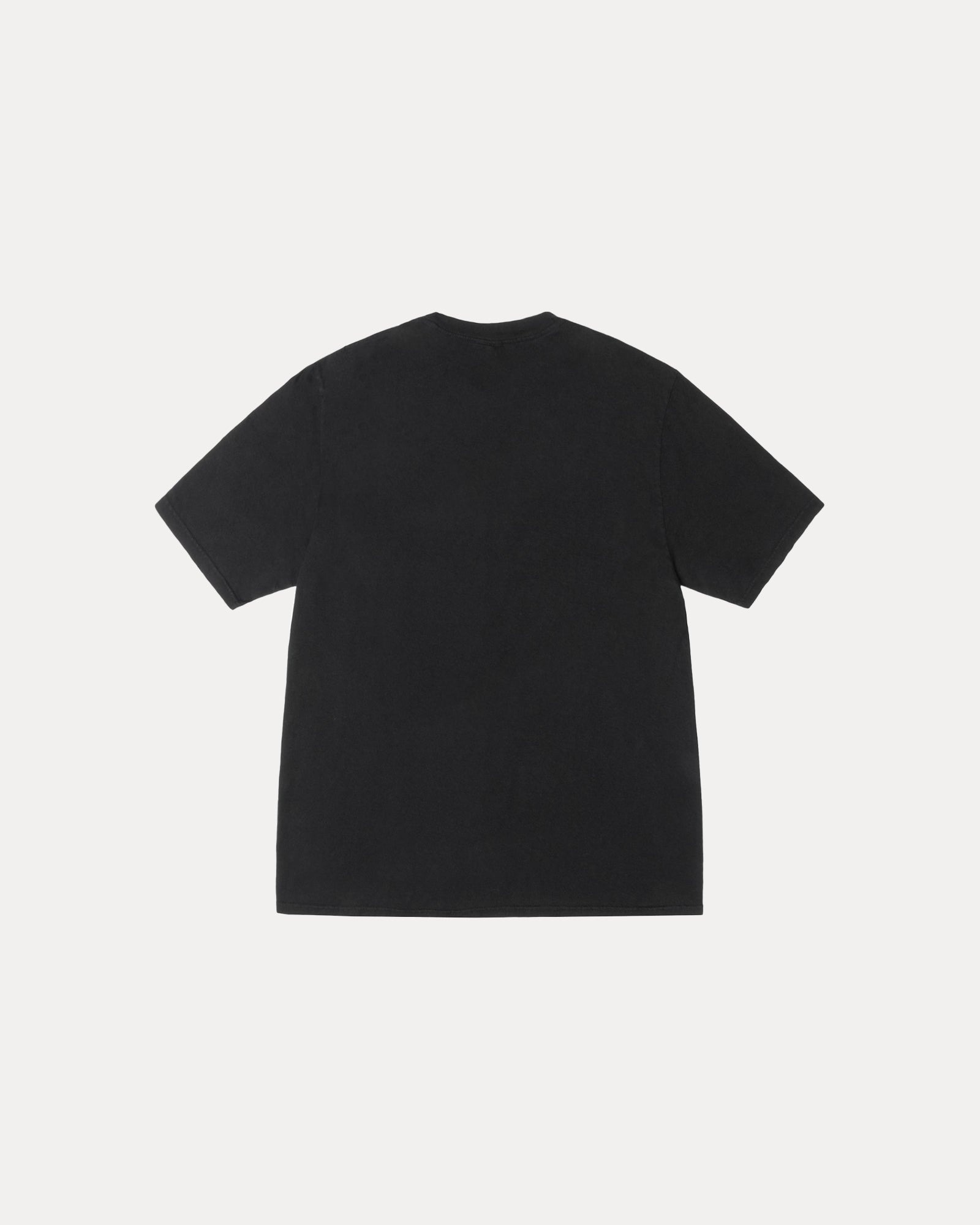 2025SS STUSSY BIG & MEATY TEE PIGMENT DYED 恐龍 暴龍 短T 現貨 1905133