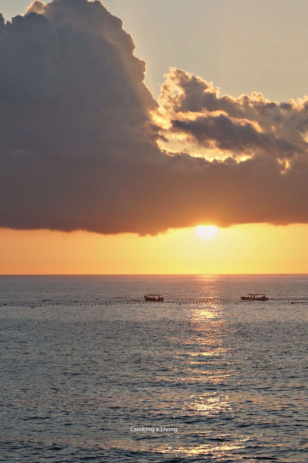 幸福島嶼餐桌 海洋永續｜hōo｜歡迎企業團體洽詢專場