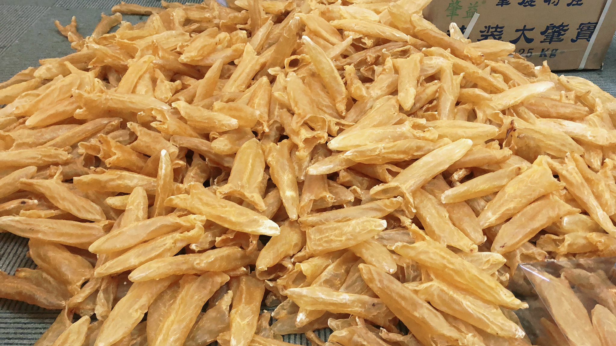 (521)花膠筒 50頭600g