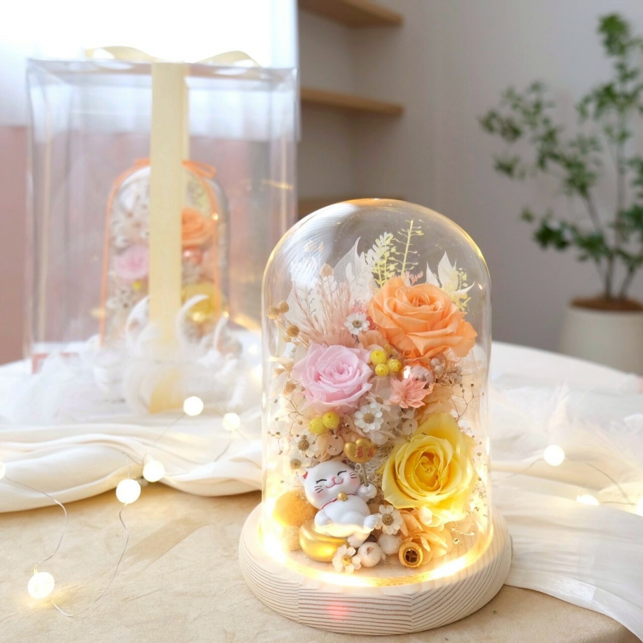 招財貓系列 / 長型玻璃罩永生花 橘粉黃色系