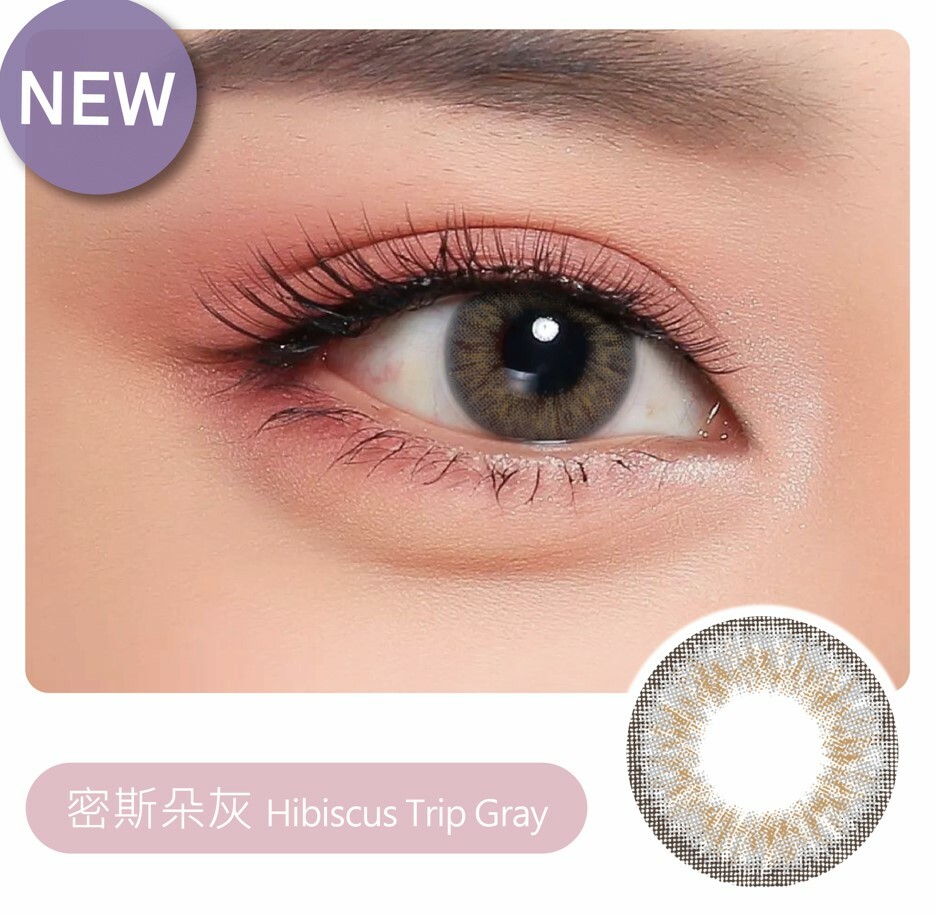 V134新密斯朵灰(2片/盒)