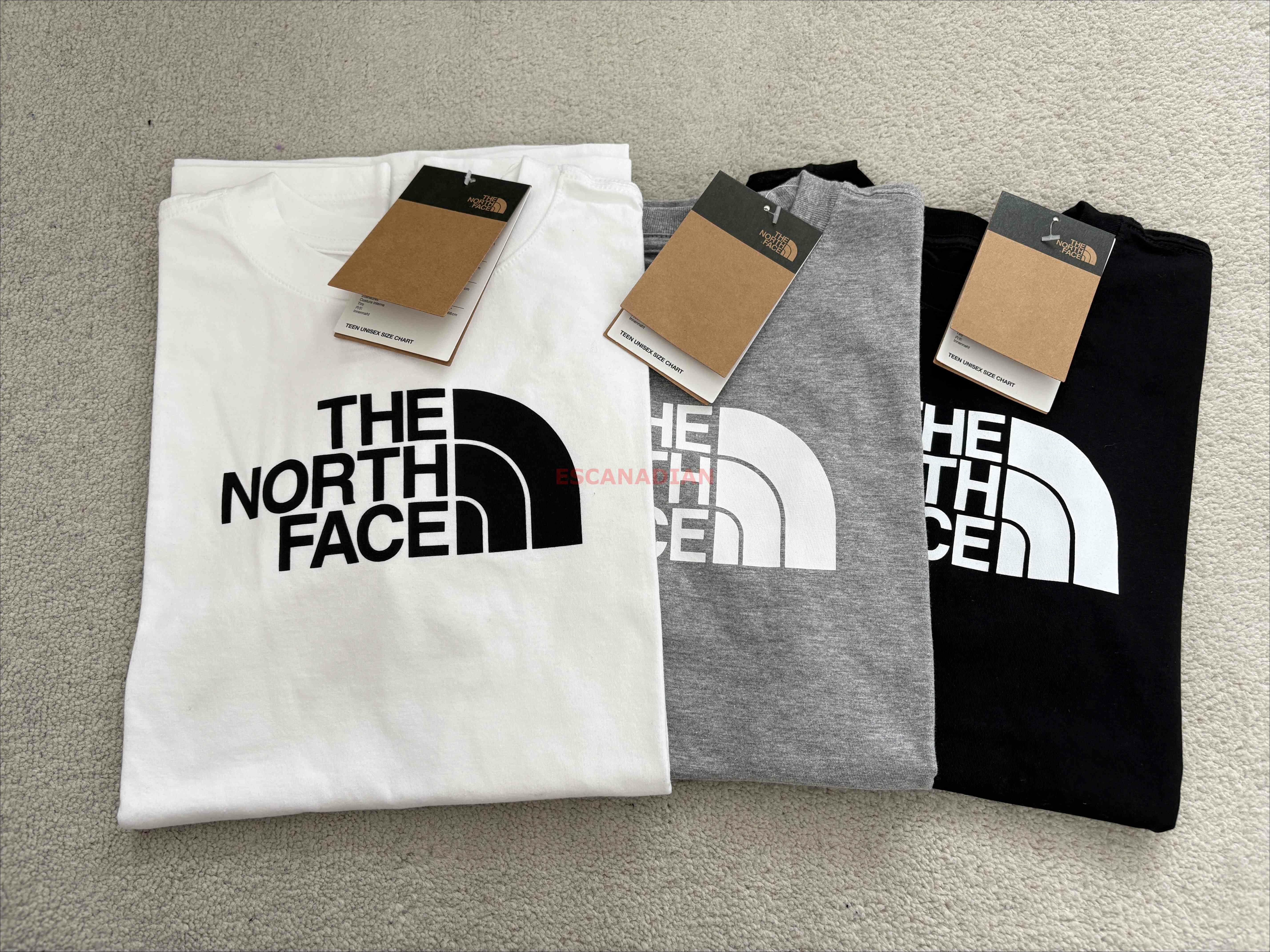 THE NORTH FACE 大童 經典LOGO 短TEE (3色)
