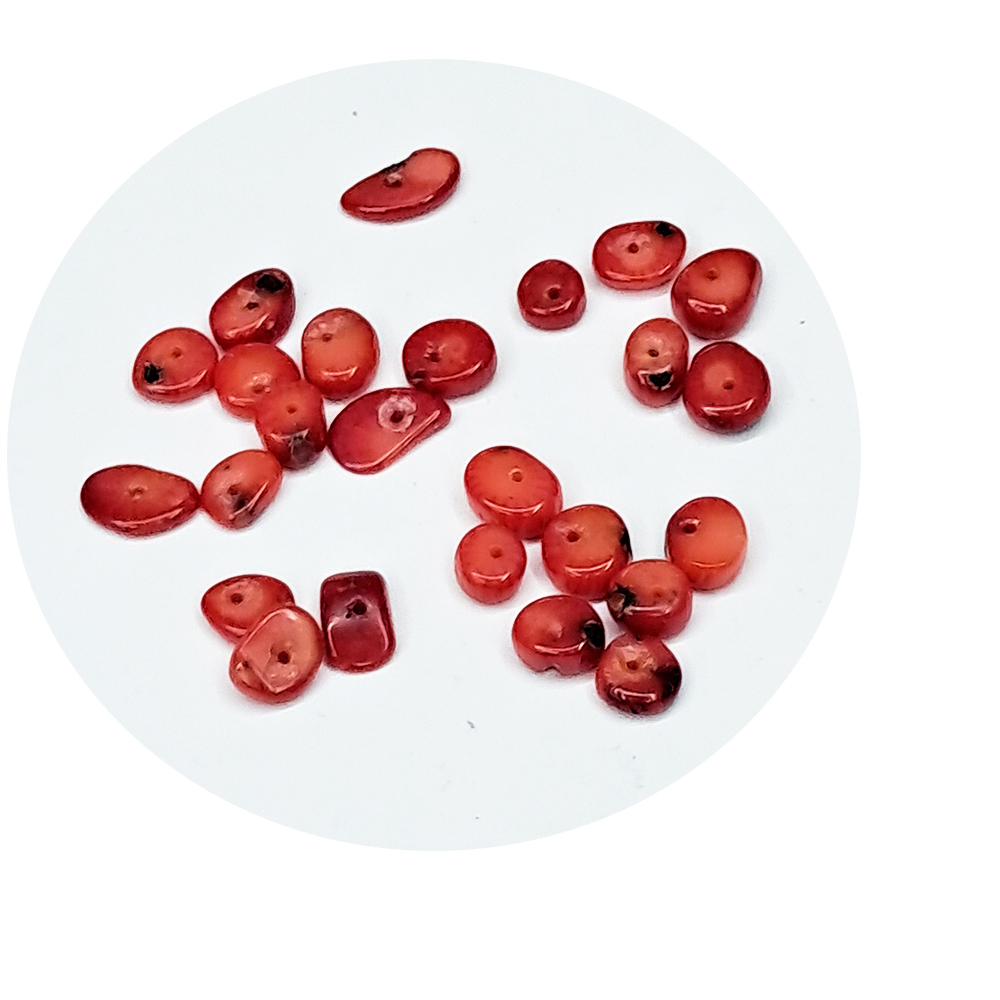 珊瑚片 配件4片【十方】154707