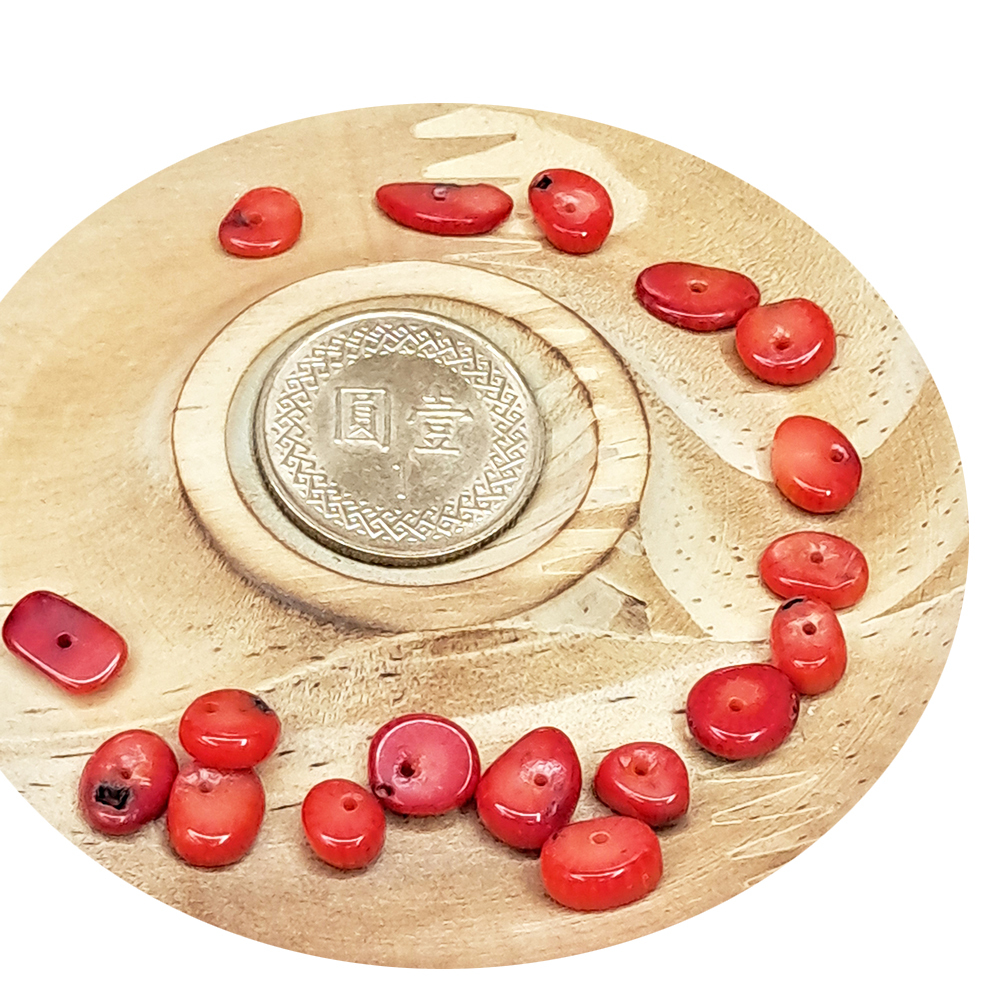 珊瑚片 配件4片【十方】154707