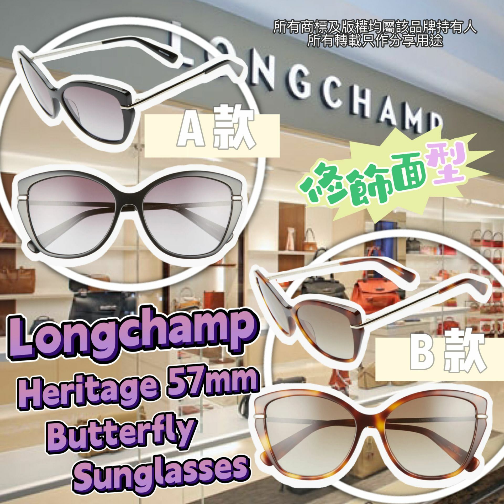 【預購】LONGCHAMP G041654 女裝太陽眼鏡