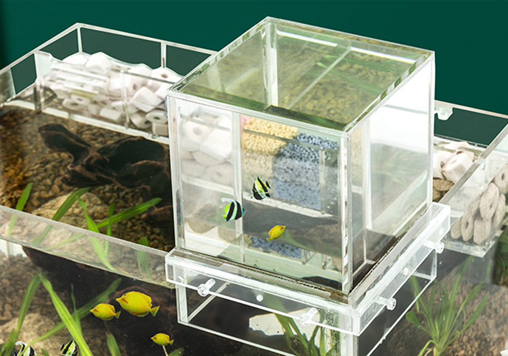 懸浮造型使魚兒彷彿躍出水面，增添觀賞趣味與視覺衝擊