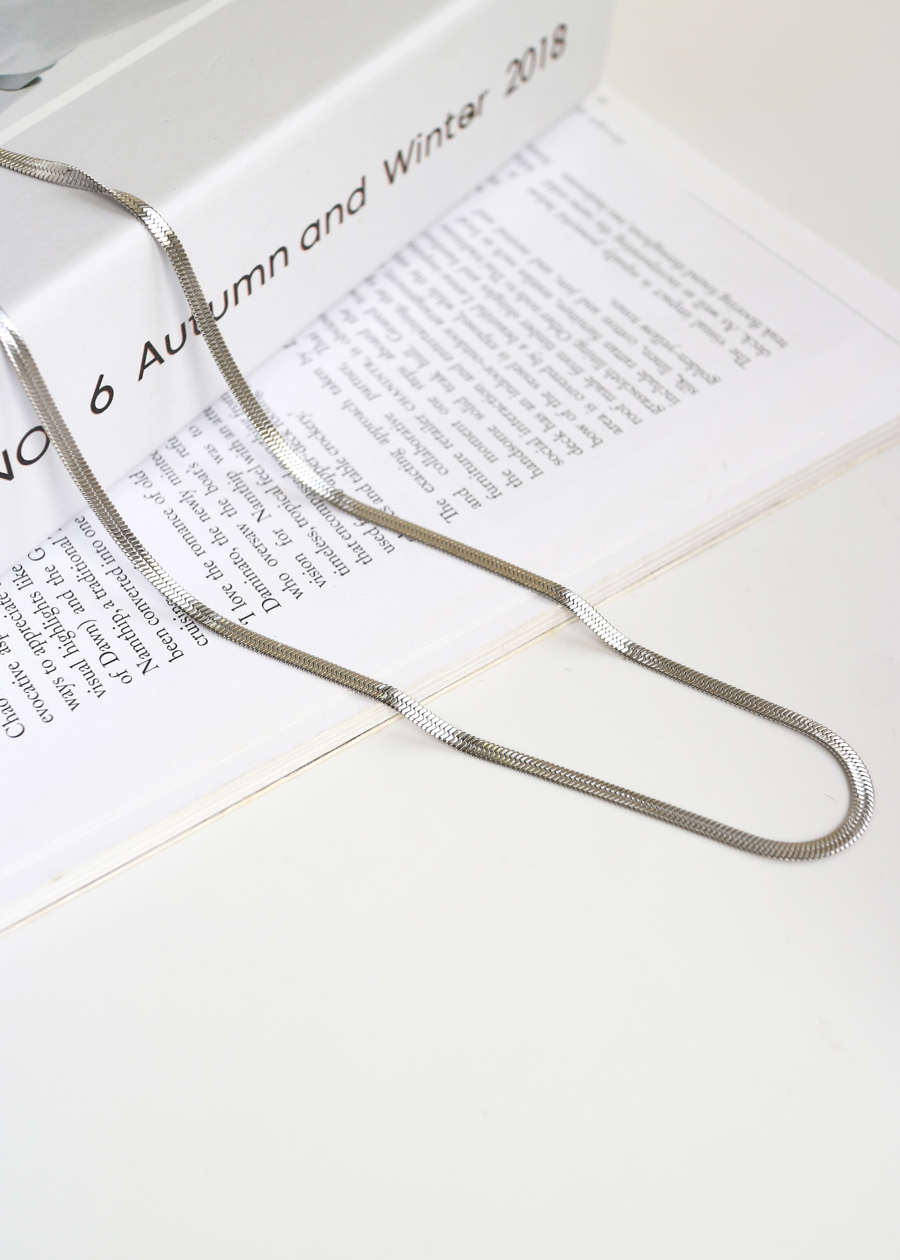 Eileen 醫療鋼蛇骨項鍊-3mm銀