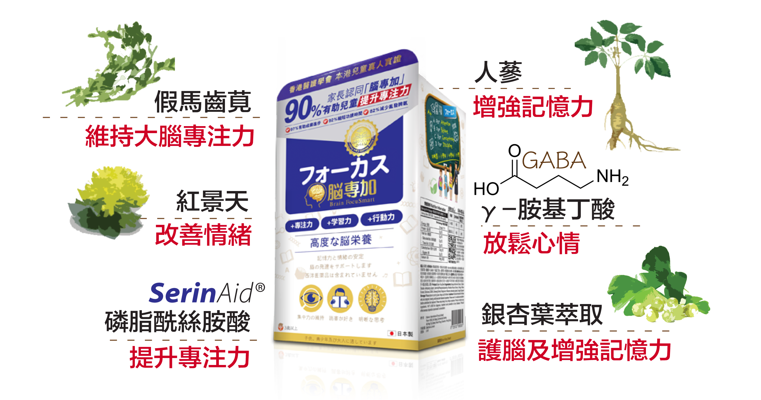 「腦專加」無副作用 無依賴性 六大成分 吃出好情商及專注力