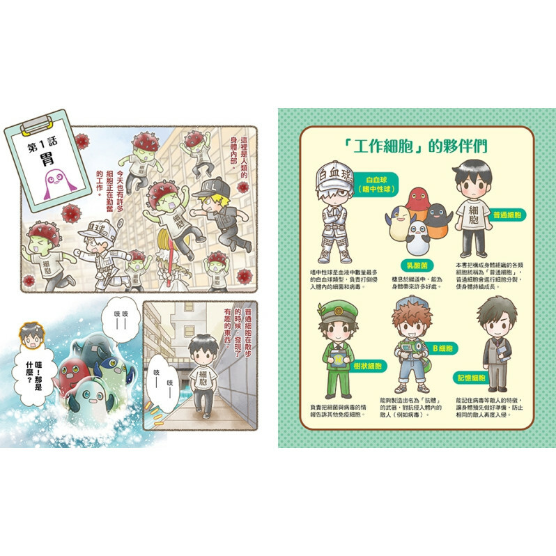 繪本工作細胞6天降奇兵！乳酸菌與害菌大亂鬥