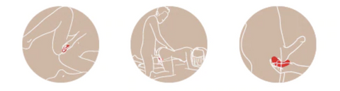 LEXY FUN FACTORY Laya II 多功能震動按摩器