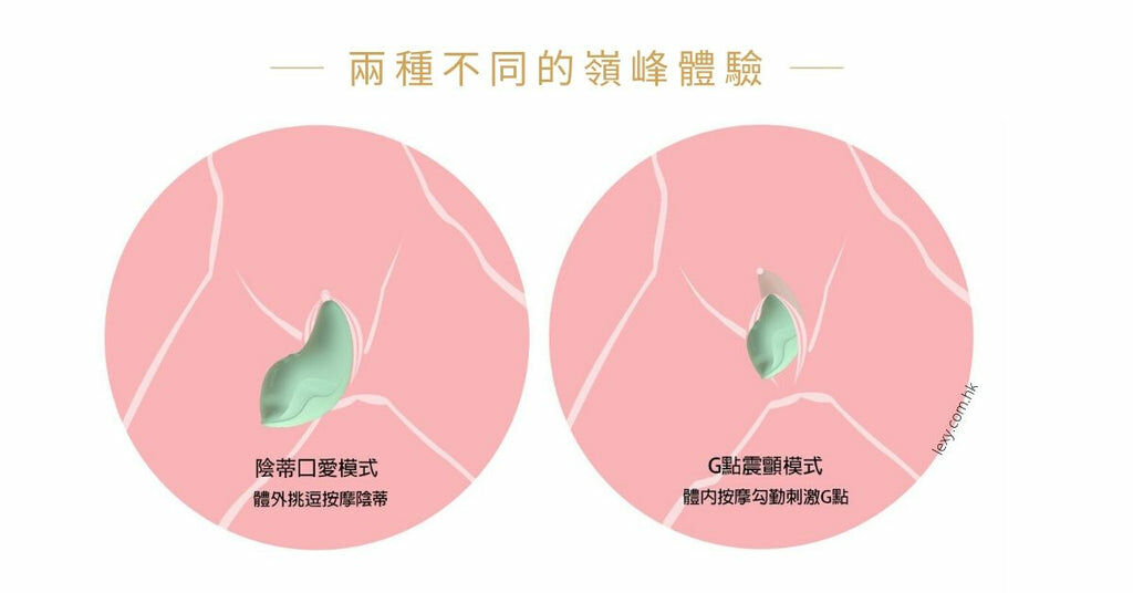 LEXY 香港情趣用品人氣網店 KISSTOY Heidi 小海豚雙用震動按摩器