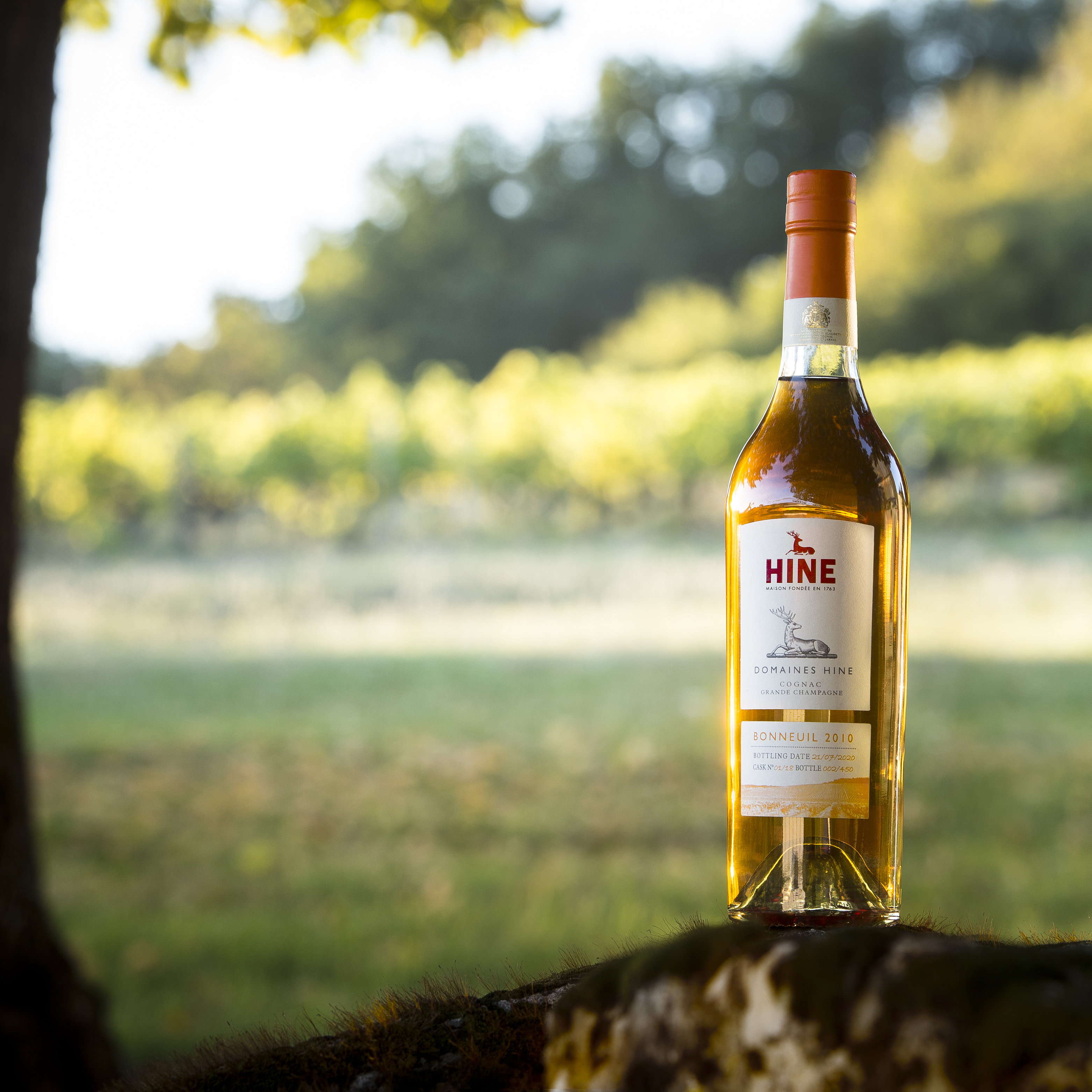 HINE 御鹿 Bonneuil 2010 700ml