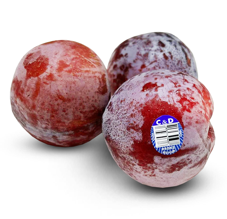 智利C&D 布冧 [3 個]