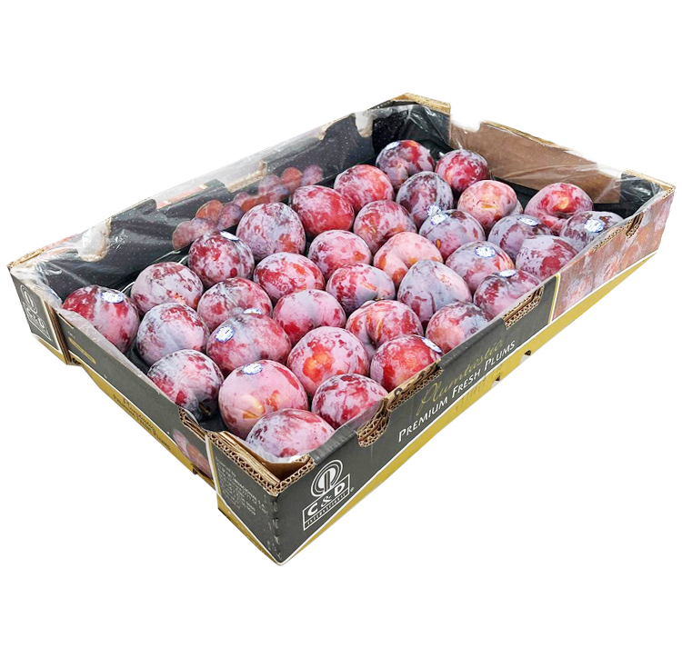 智利C&D 布冧 [ 原箱 |30-35個]