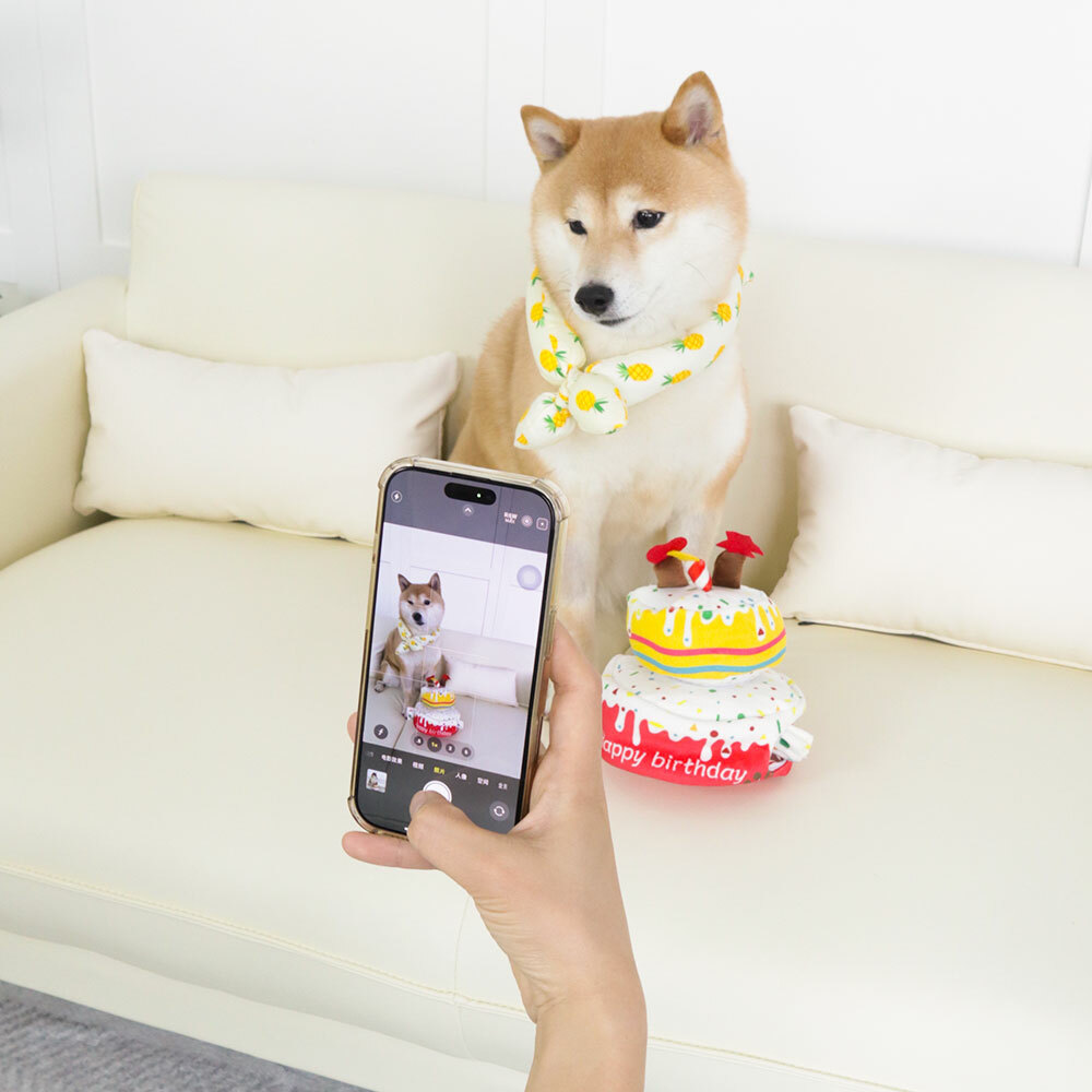 Dog Birthday Cake Toy, Dog Birthday Gifts, Squeaky Plush Birthday Dog Toys for Small Medium and Large Dogs