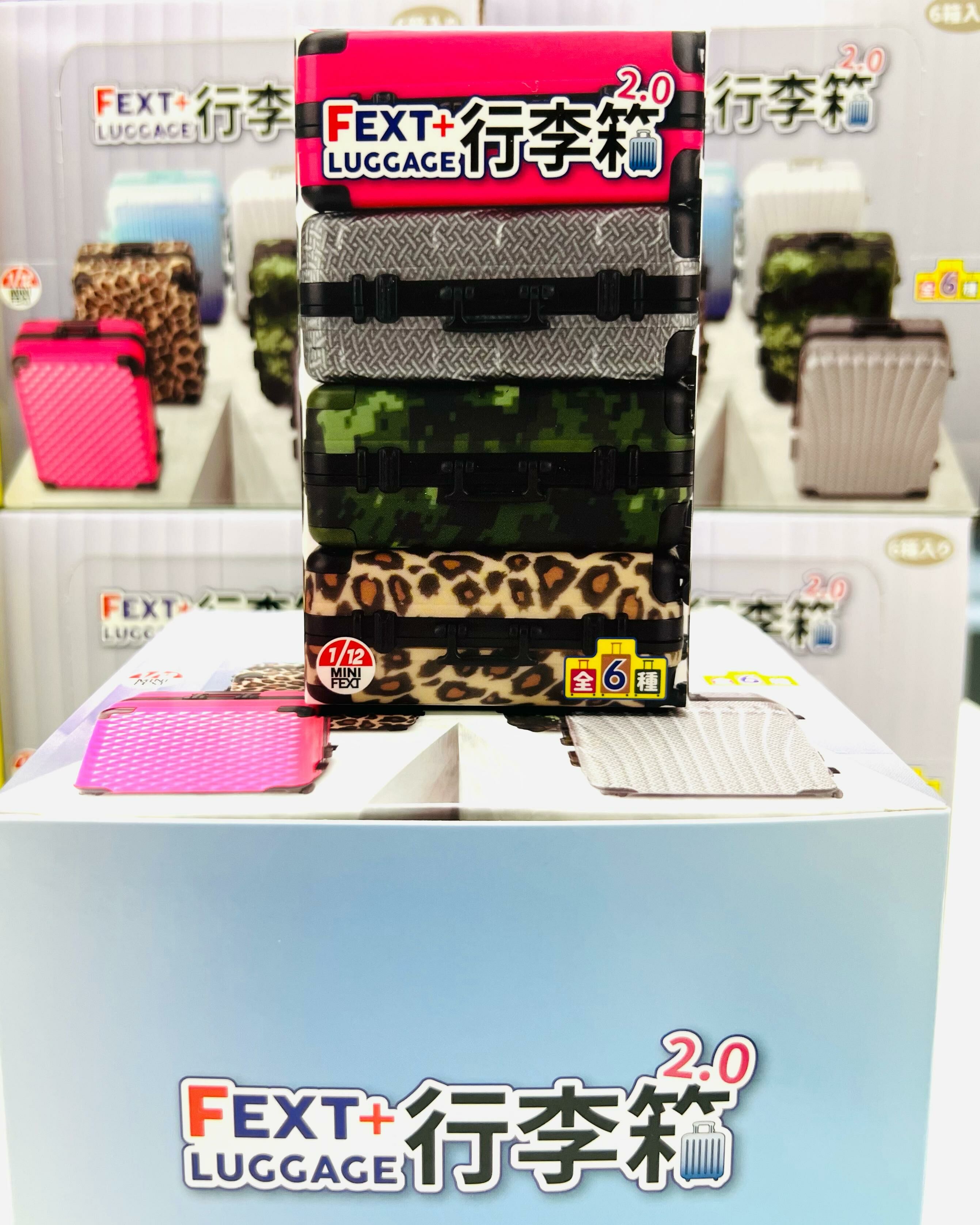 Mini Fext 12th Blind Box Series1/12 FEXT+LUGGAGE 2.0  ( FEXT HOBBY )