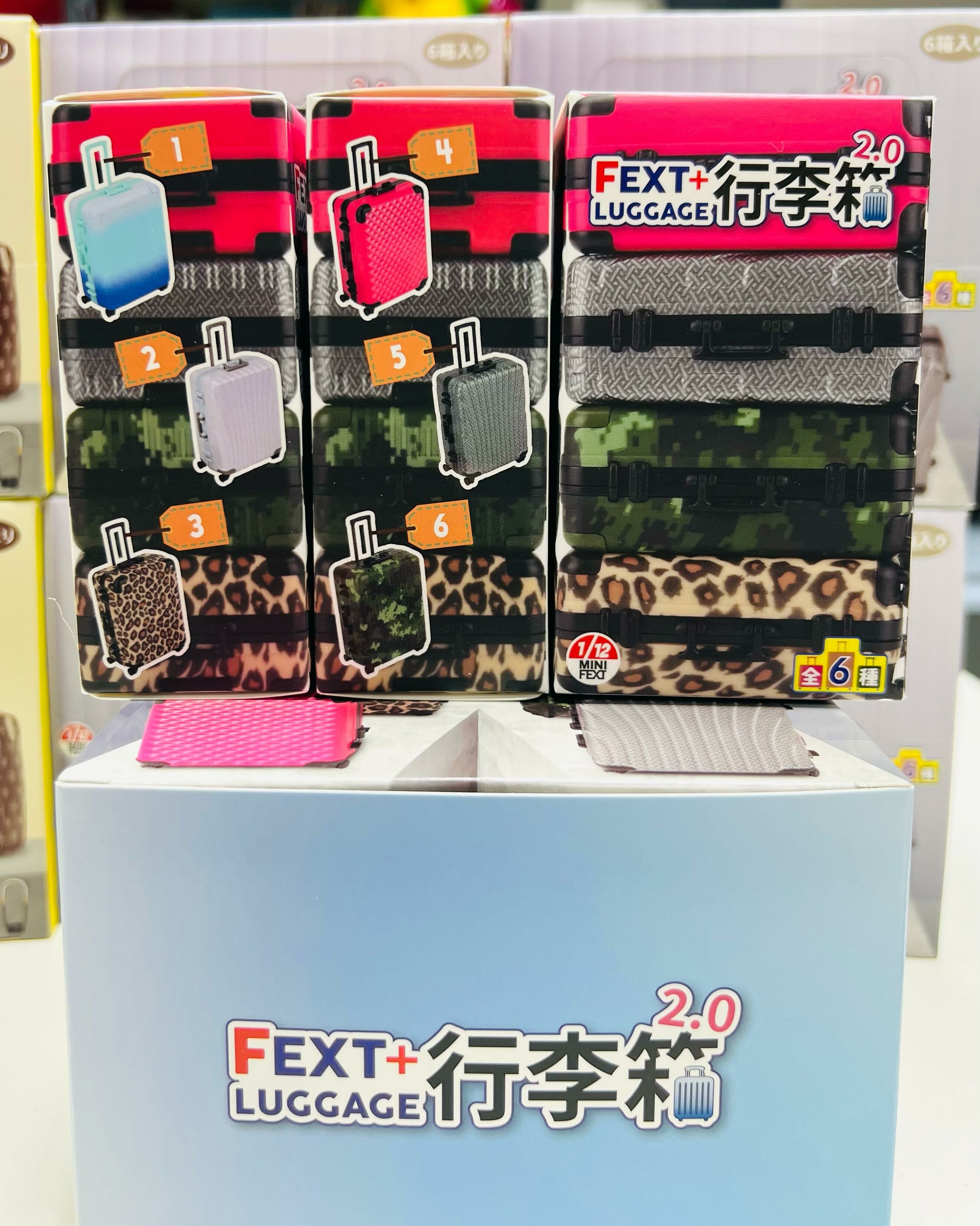 Mini Fext 12th Blind Box Series1/12 FEXT+LUGGAGE 2.0  ( FEXT HOBBY )