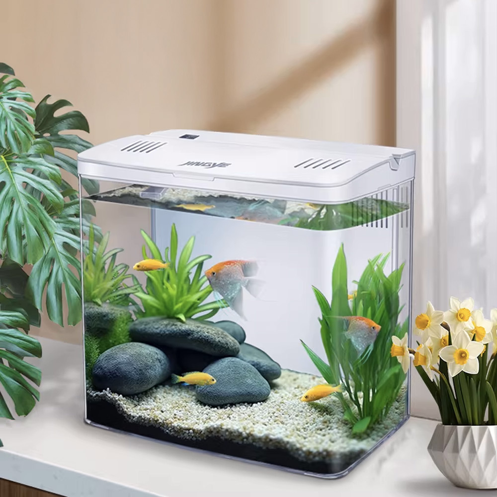 獨家五面曲屏設計,立體展現缸內景色