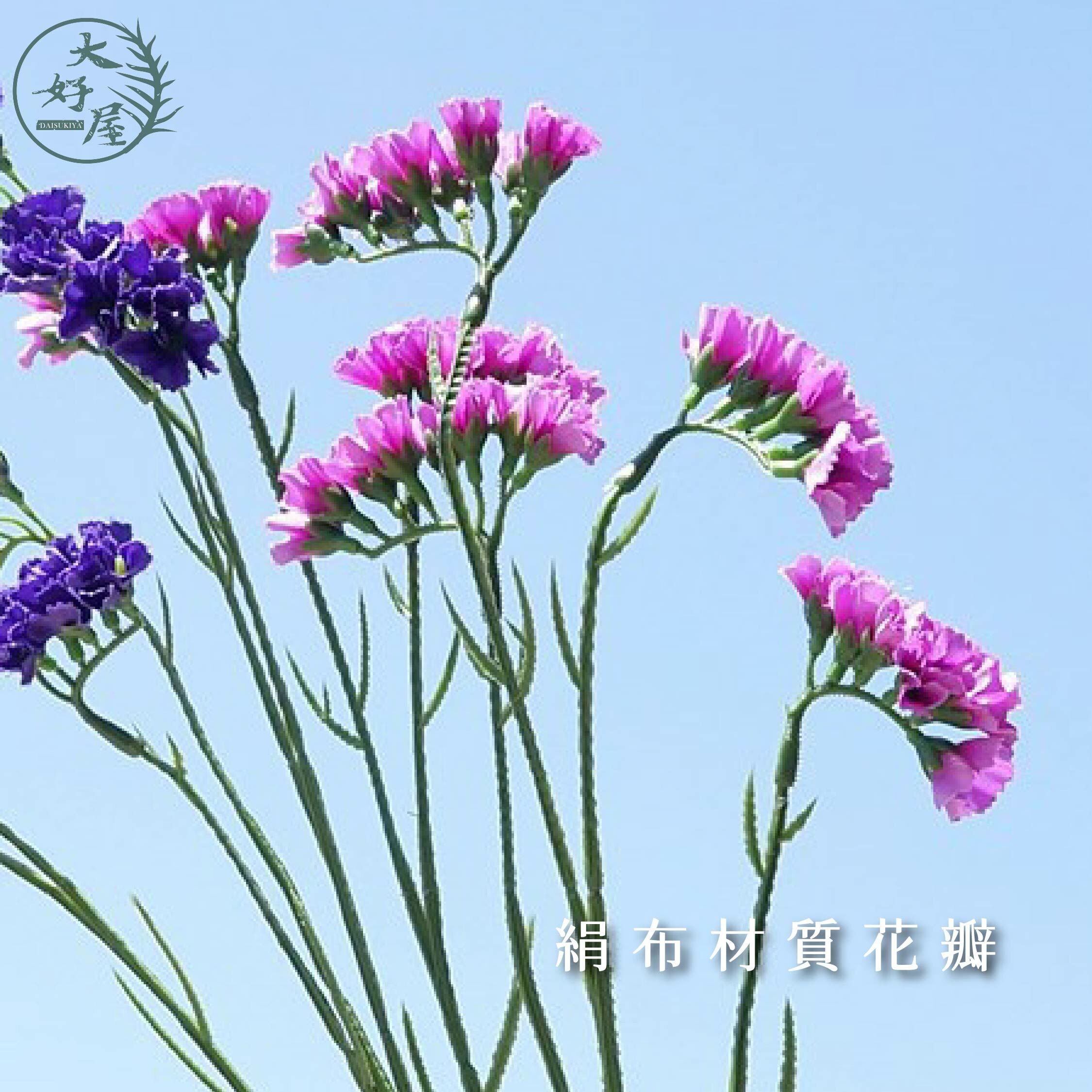 仿真絹布6叉星辰花