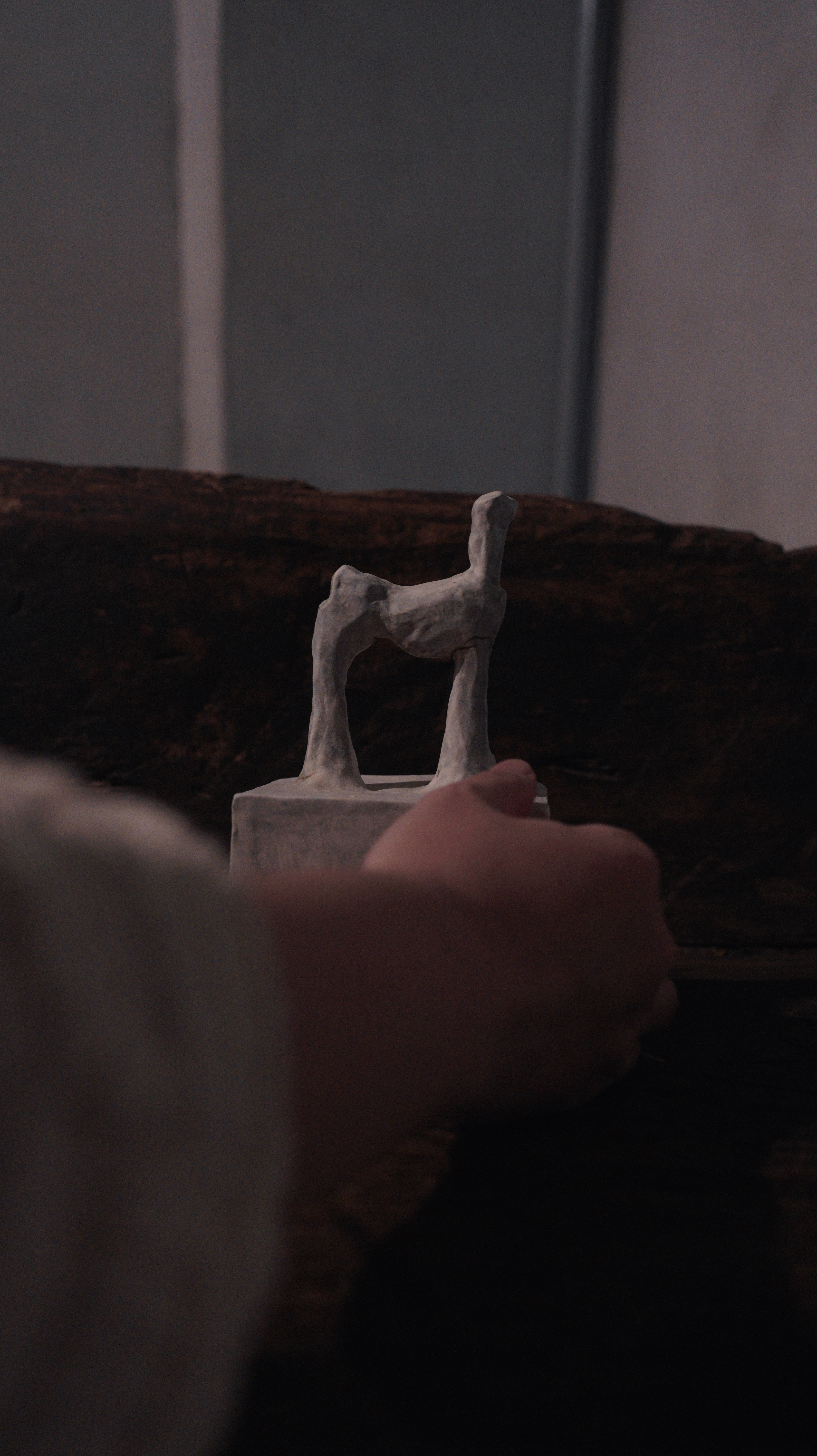 大美 suii｜still life｜動物系列04
