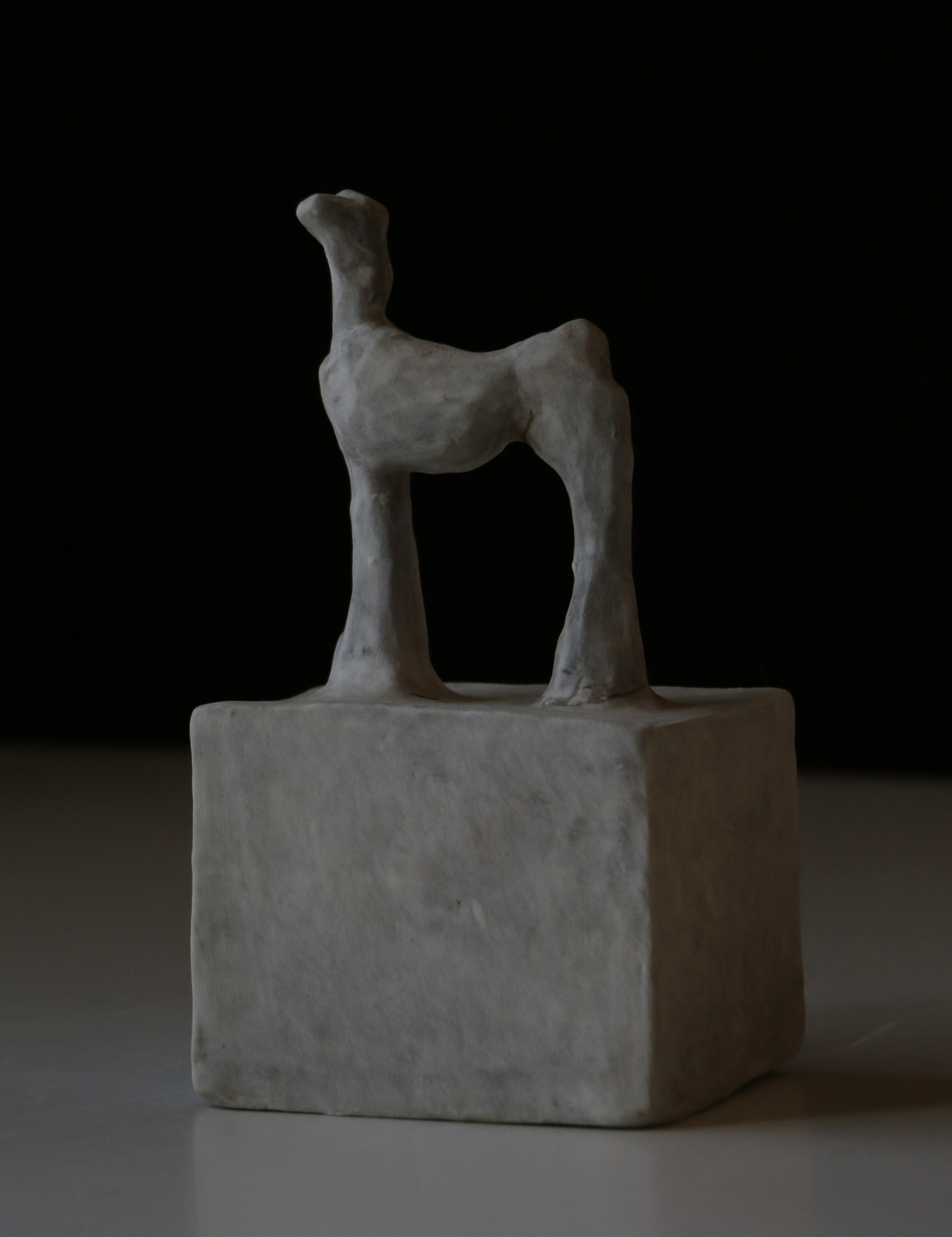 大美 suii｜still life｜動物系列04