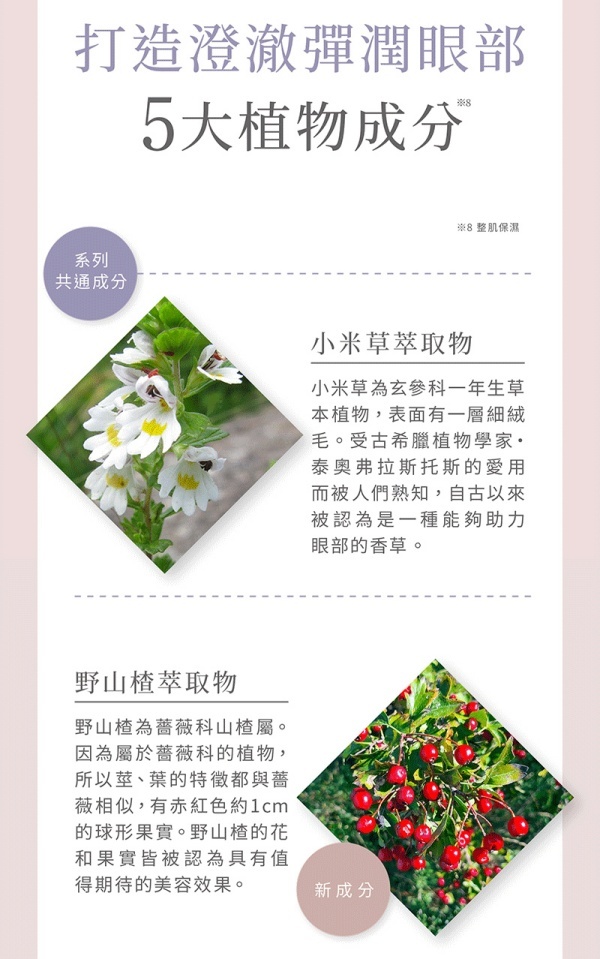 AXXZIA 曉姿 4D抗糖多效修護眼膜