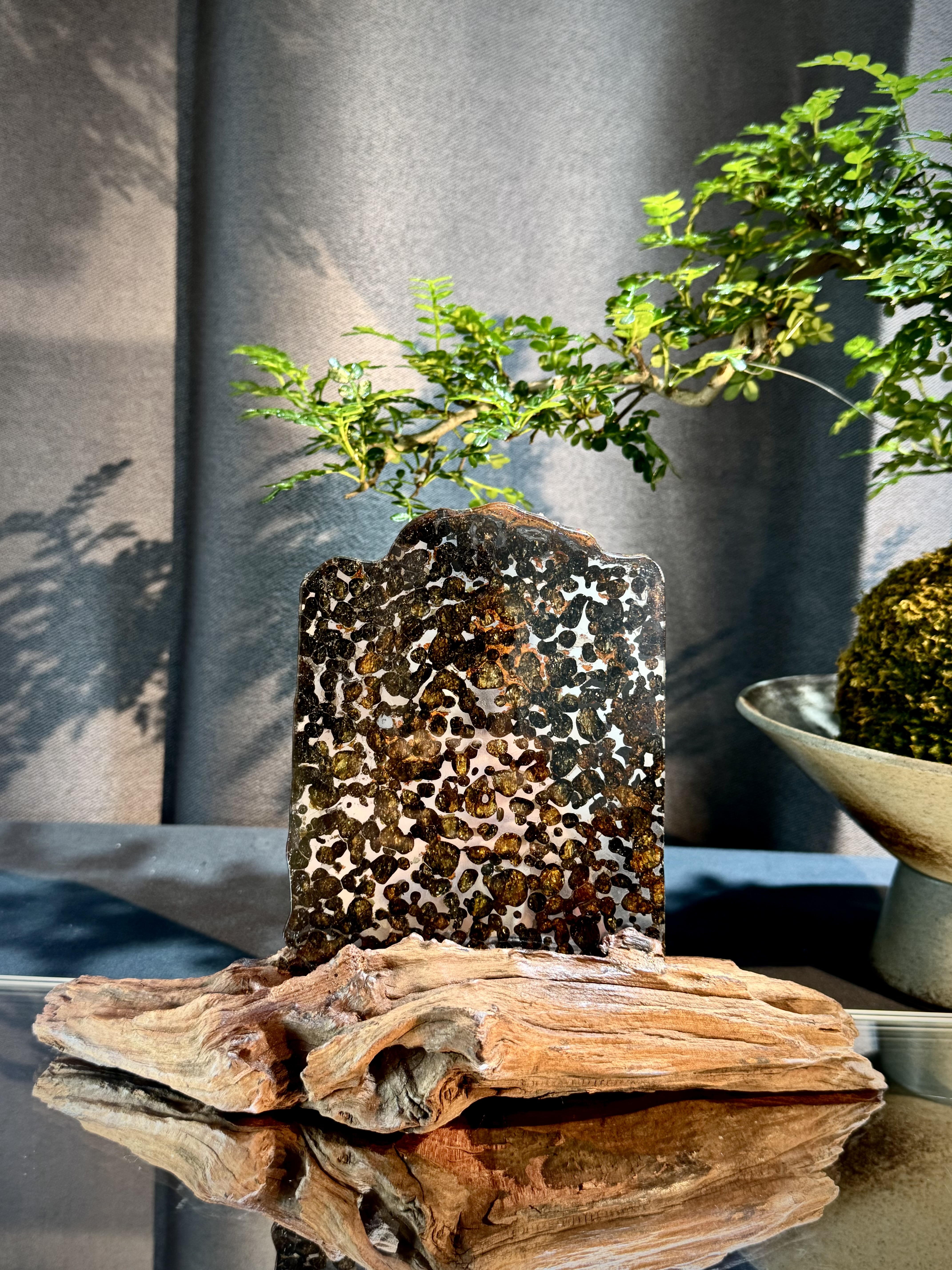 頂級橄欖隕石擺件 6009