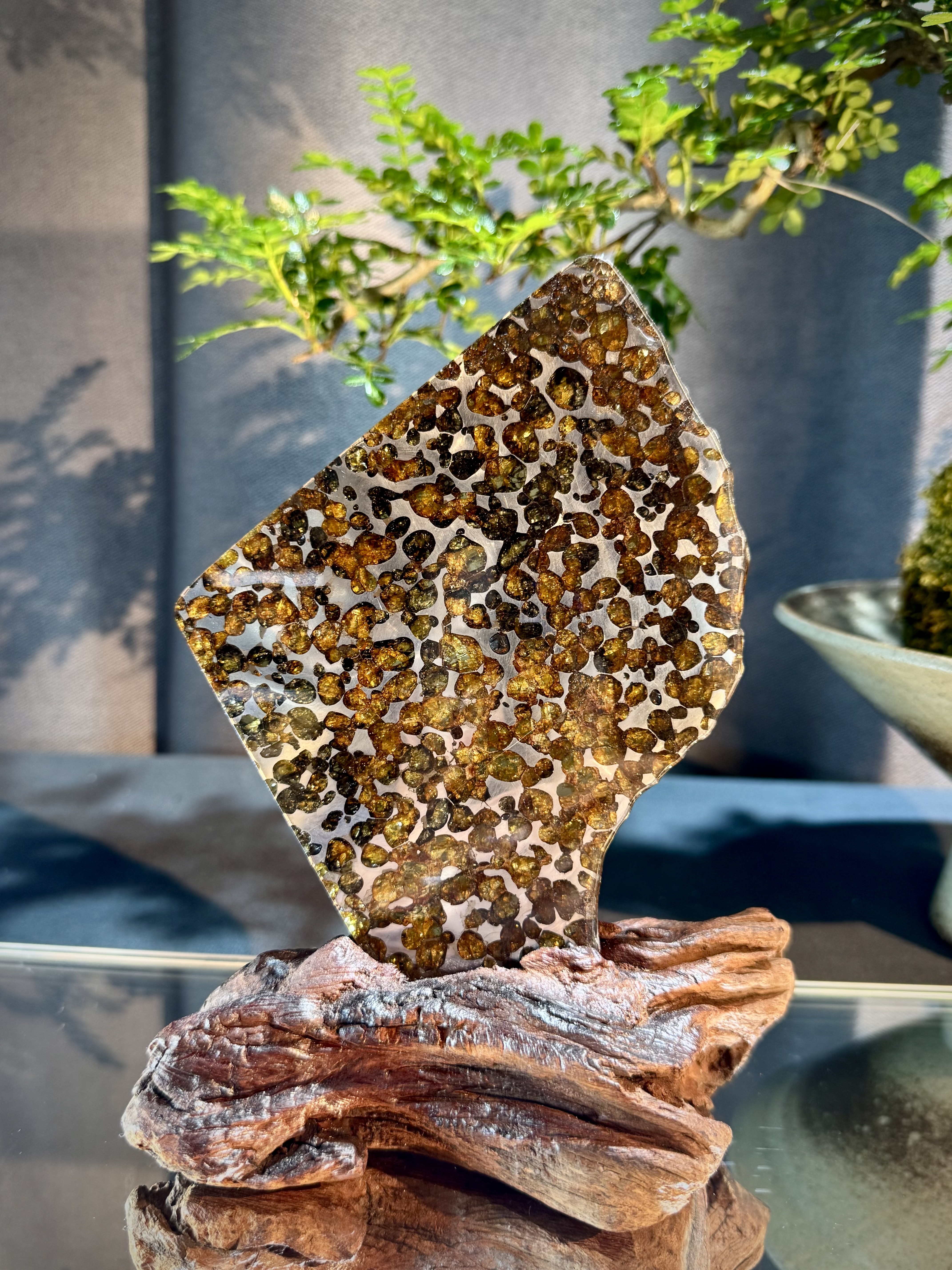 頂級橄欖隕石擺件 6010